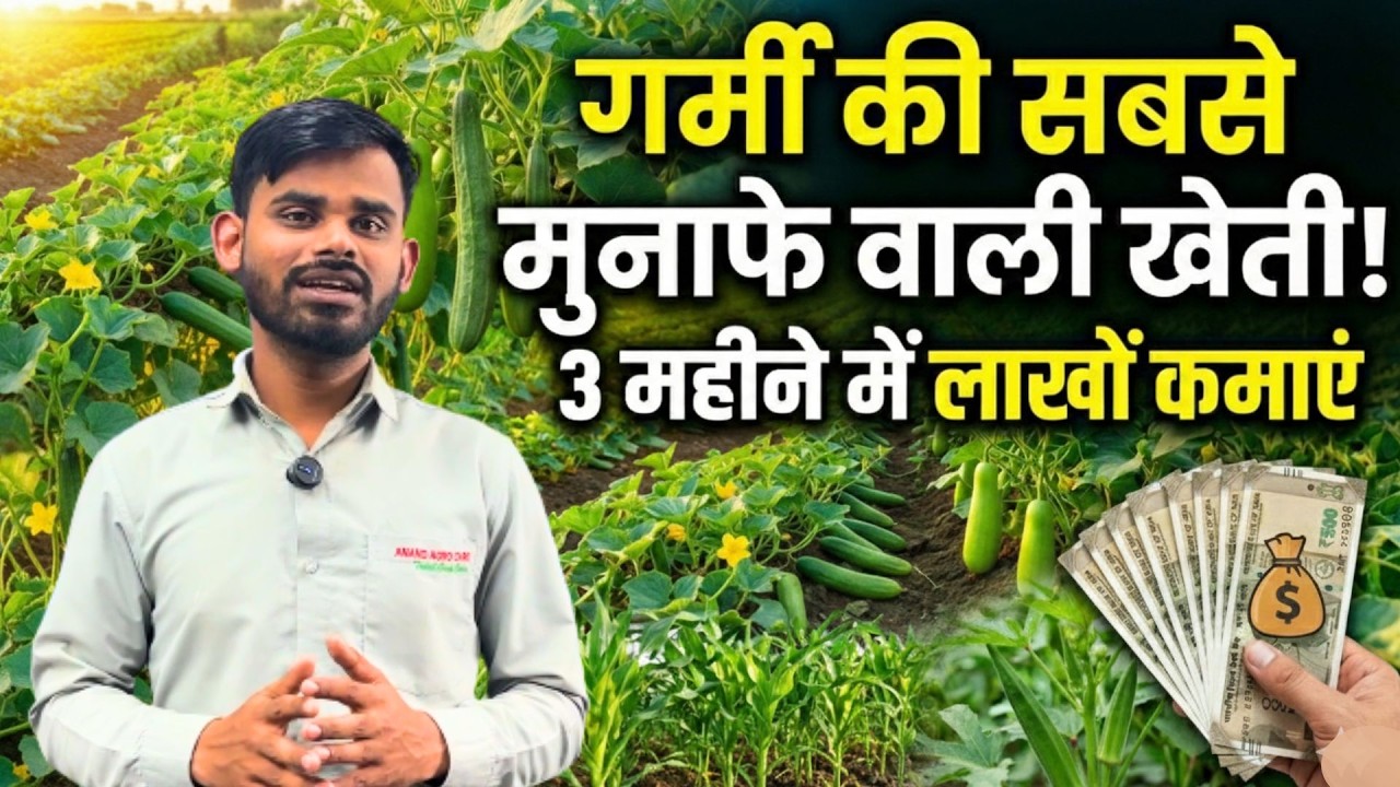 गर्मी में कौन-सी फसल सबसे फायदेमंद है? | garmi me konsi fasal lagaye | गर्मी की फसलें
