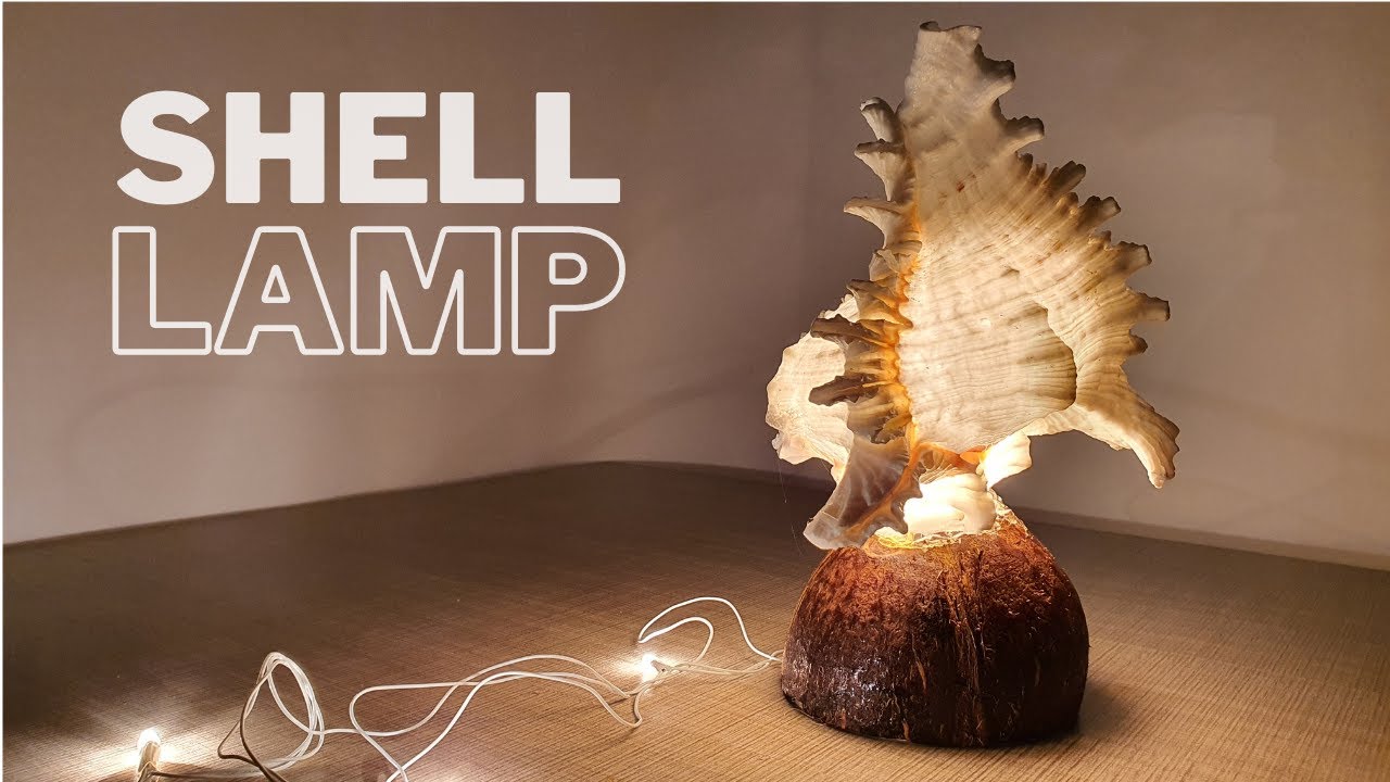 Sea Shell Lamp With Coconut Base