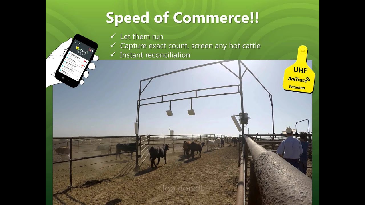 UHF RFID Solution for Livestock Management - AniTrace, div. of HANA Micron America Inc.
