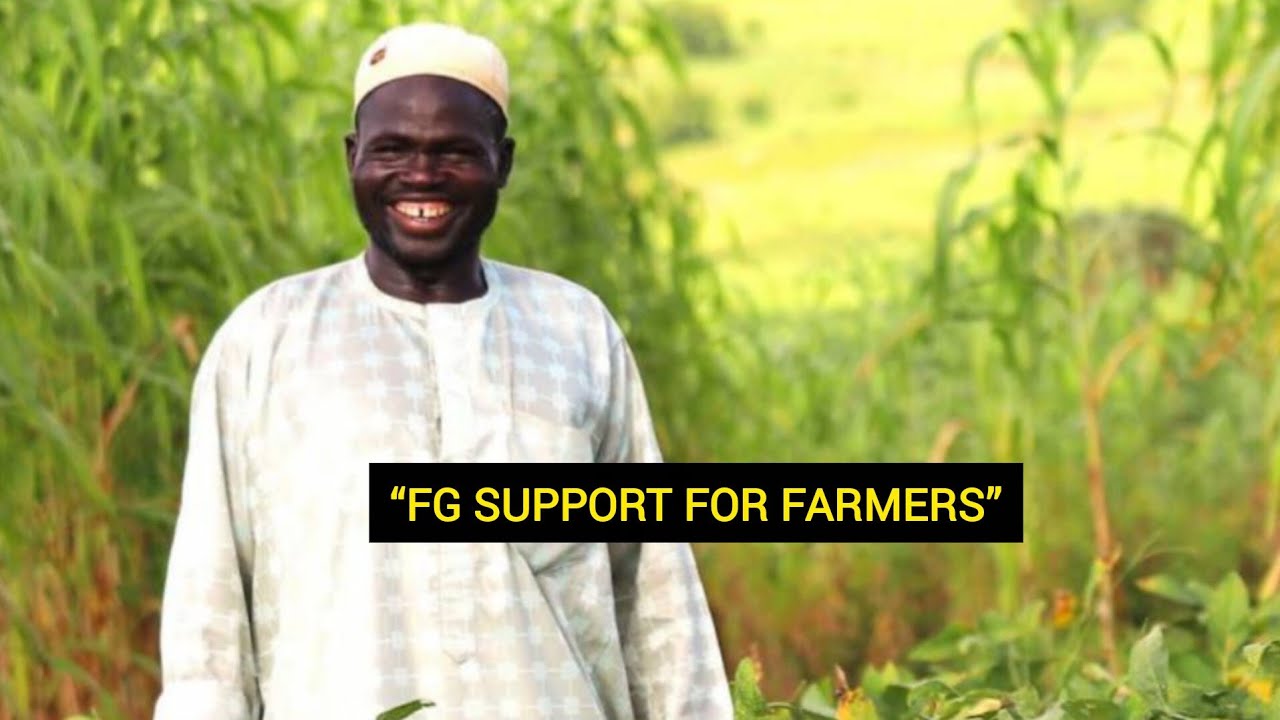 Federal Government Flags Off Support for Tomato & Sugarcane Farmers in Kano
