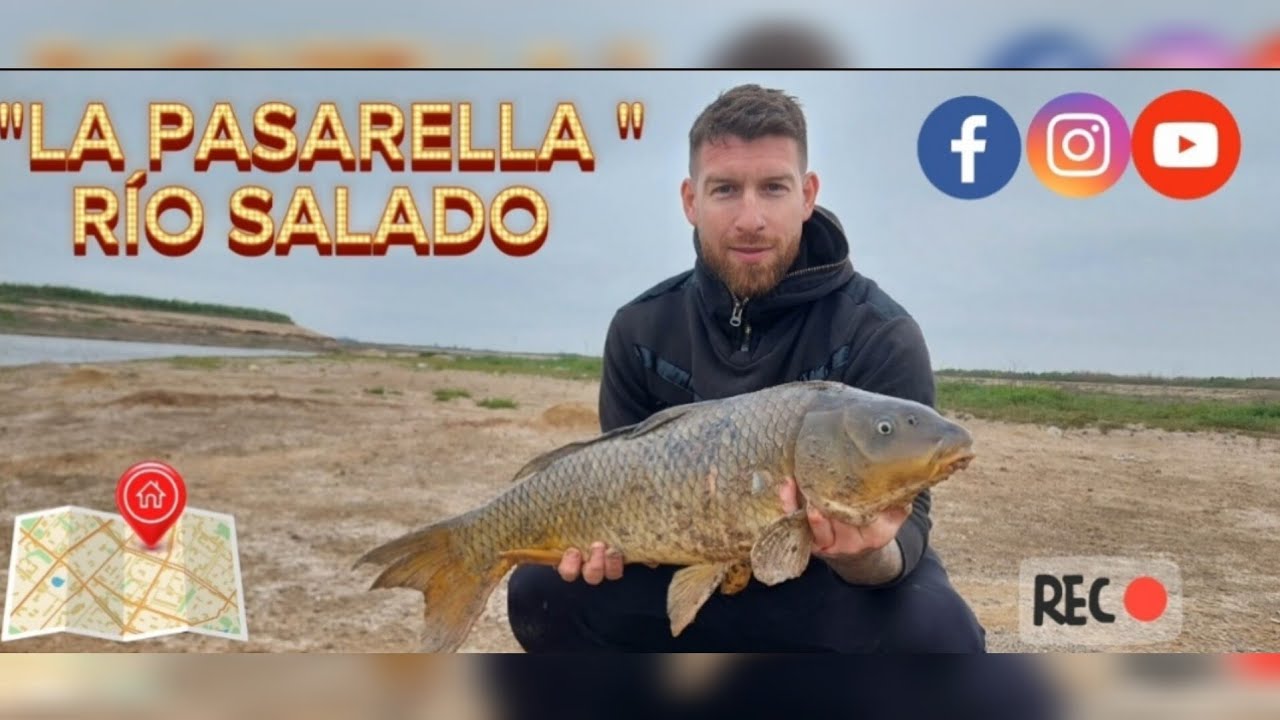 CARPONES EN EL PUENTE DE MADERA , RIO SALADO 🎣🎣