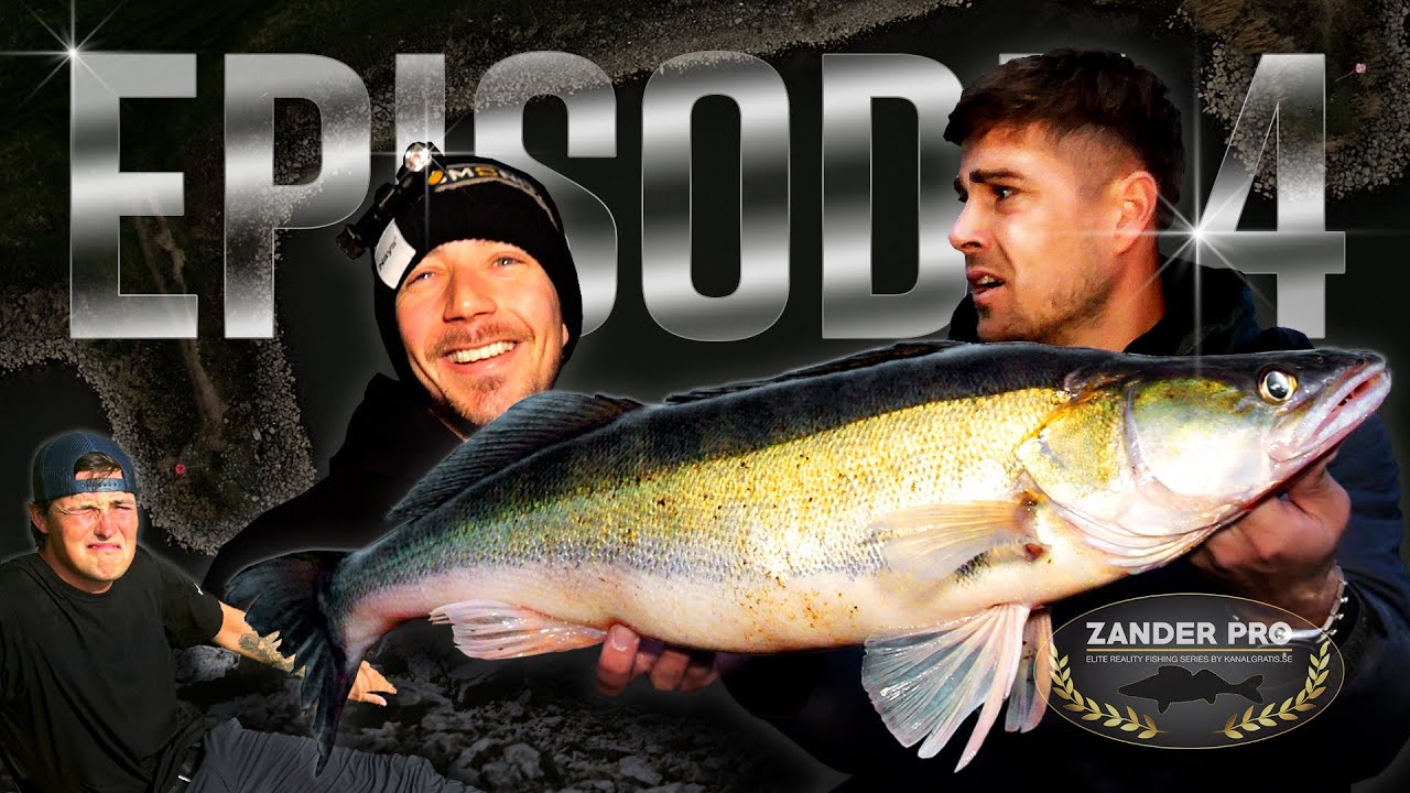 ZANDER PRO 3 - EPISODE 4