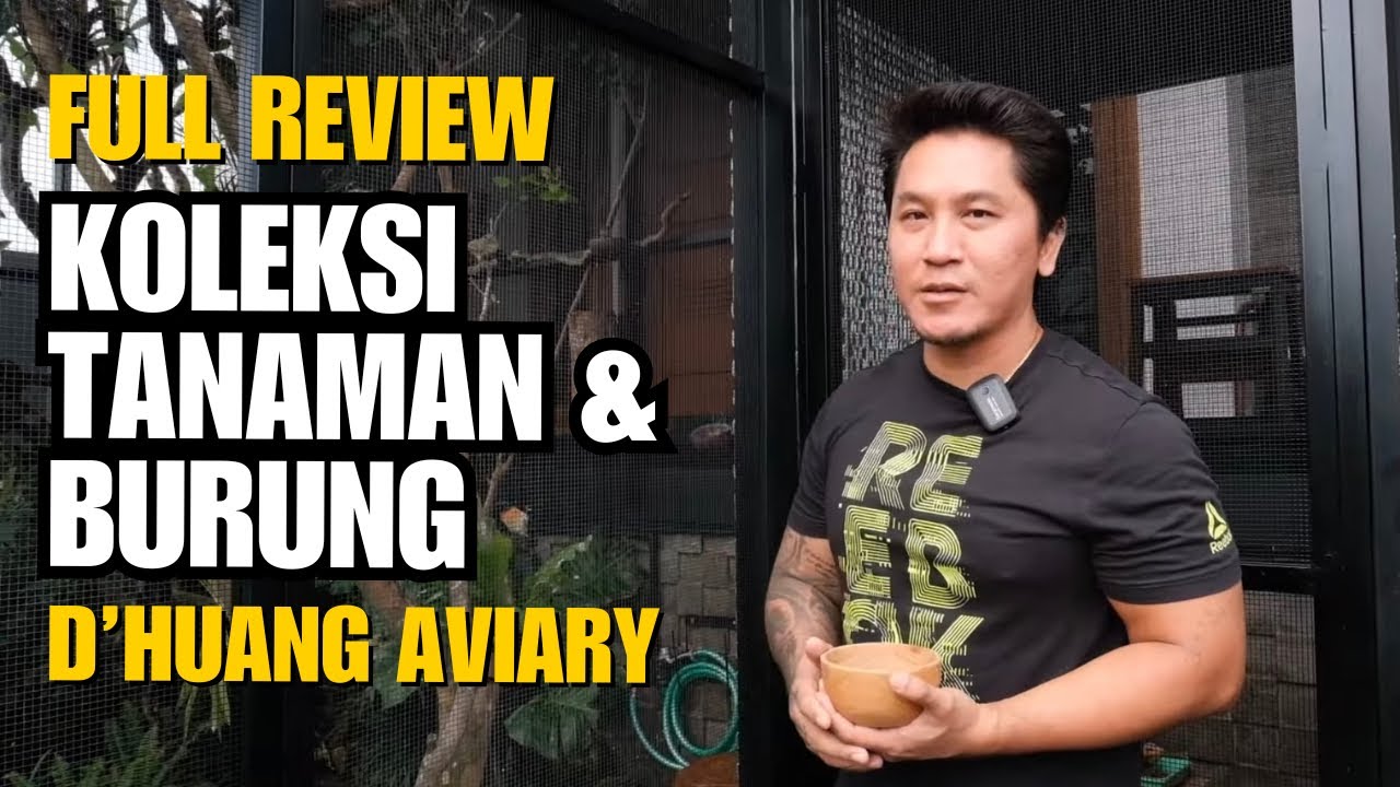 D'HUANG AVIARY PLANTS & BIRDS COLLECTION | FULL REVIEW | Tedy Huang