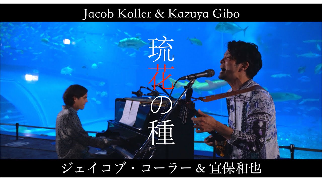 琉花の種 / 宜保和也＆ジェイコブコーラー（沖縄美ら海水族館）