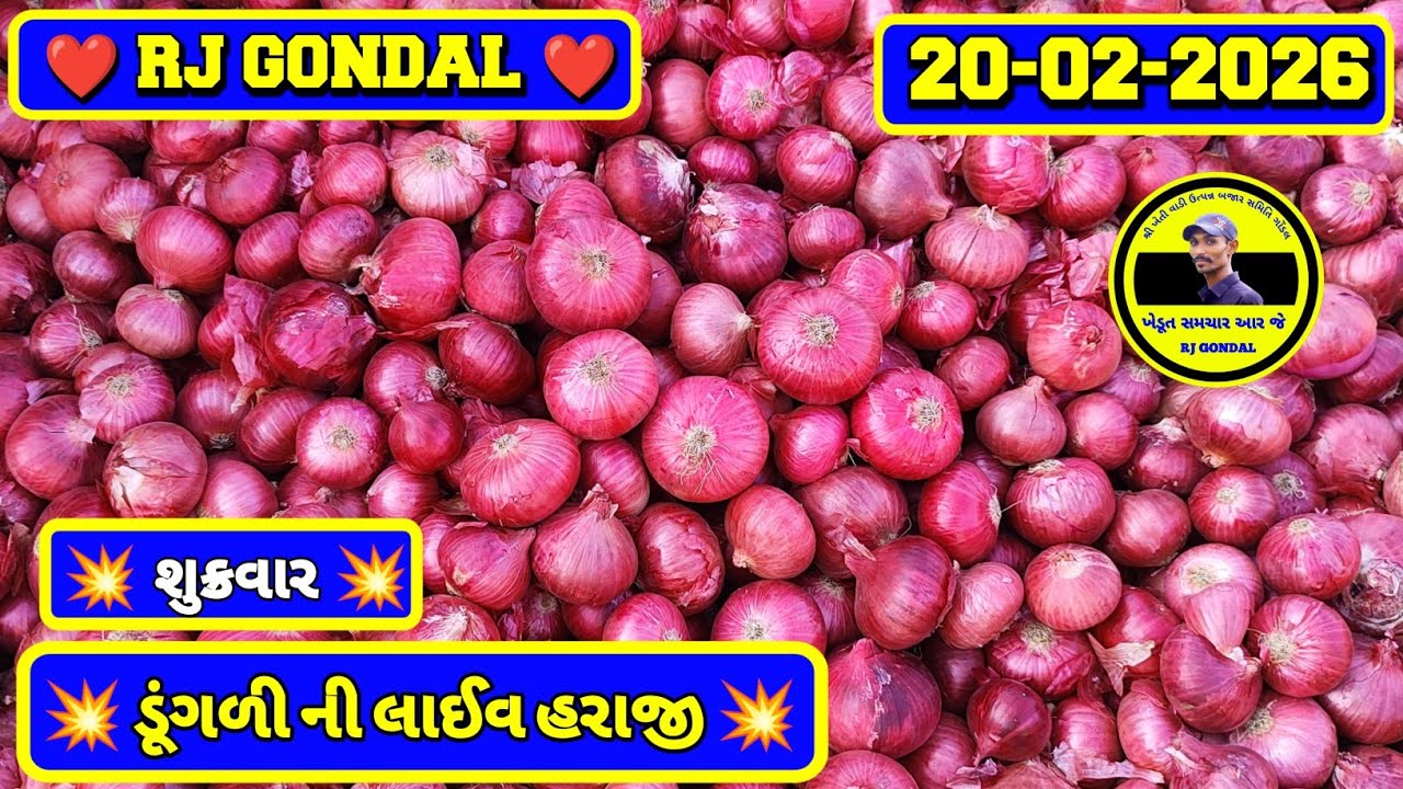 Dungri Na Bhav | 20-02-2026 | ગોંડલ ડૂંગળી ના ભાવ | Onion Market | RJ Gondal Marketing Yard