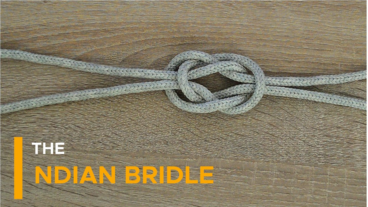 Indian Bridle