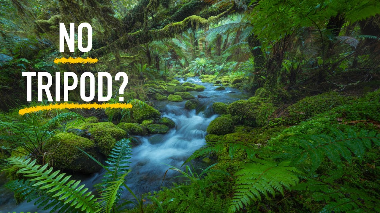 New Zealand Rainforest and Waterfall photography