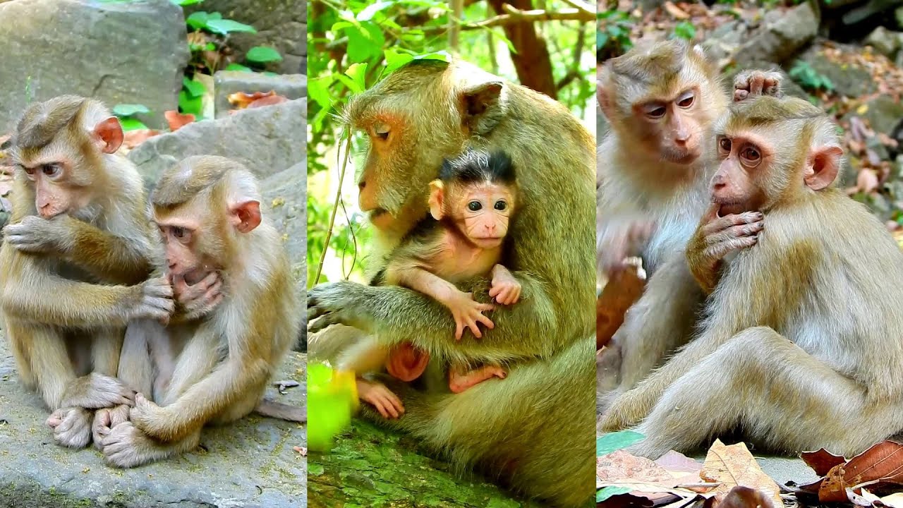 Best video of lovely baby Bitzy asks mum go out for playing very brave.