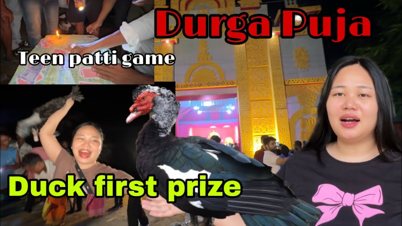 Won prize alive duck from Durga Puja, teen patti game village vlog Arunachal Pradesh 