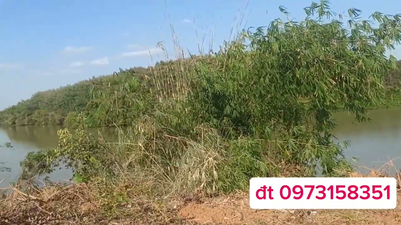 Đất xã Bình Thắng huyện Bù Gia Mập Bình Phước đt 097 315 8351 