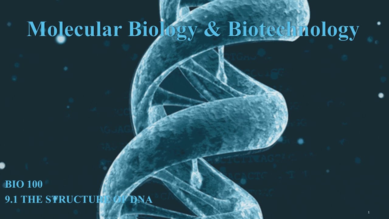 Molecular Biology: The Structure of DNA