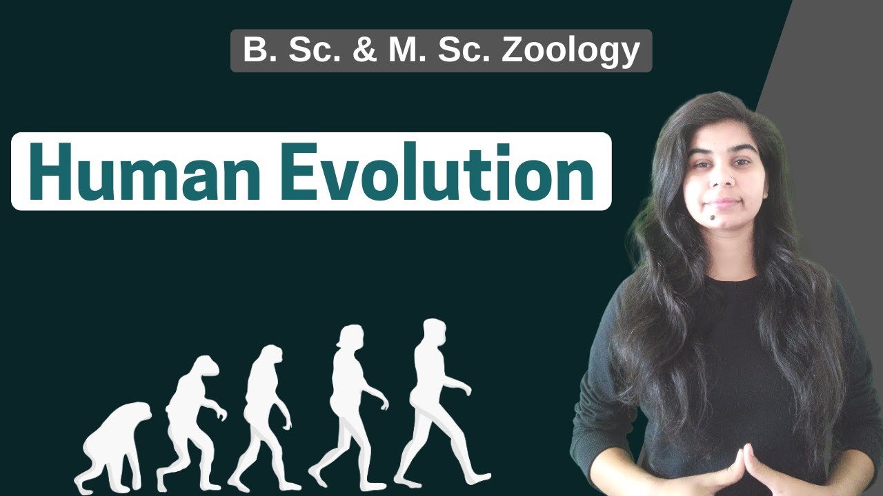 Human Evolution || B. Sc. & M. Sc. Zoology