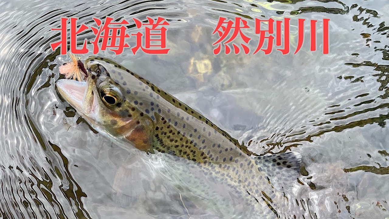北海道　然別川