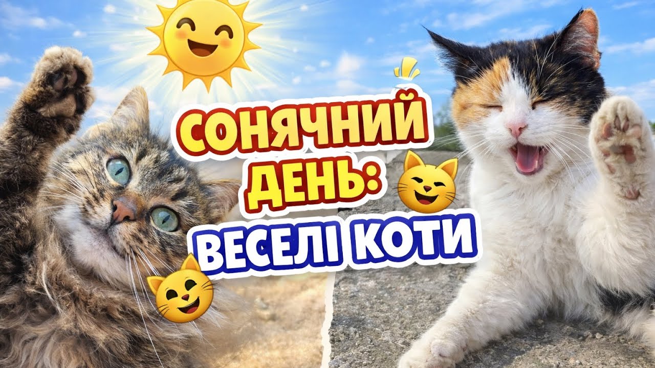 15 серія. Сонячний день і веселі котики ☀️ Котька і Мурка граються вдома