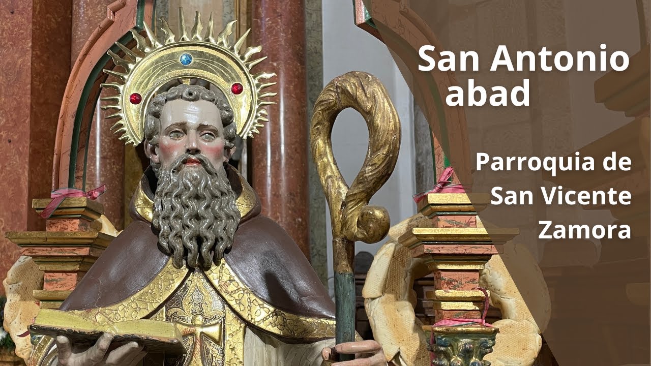 San Antonio abad #zamoraenamora #animales