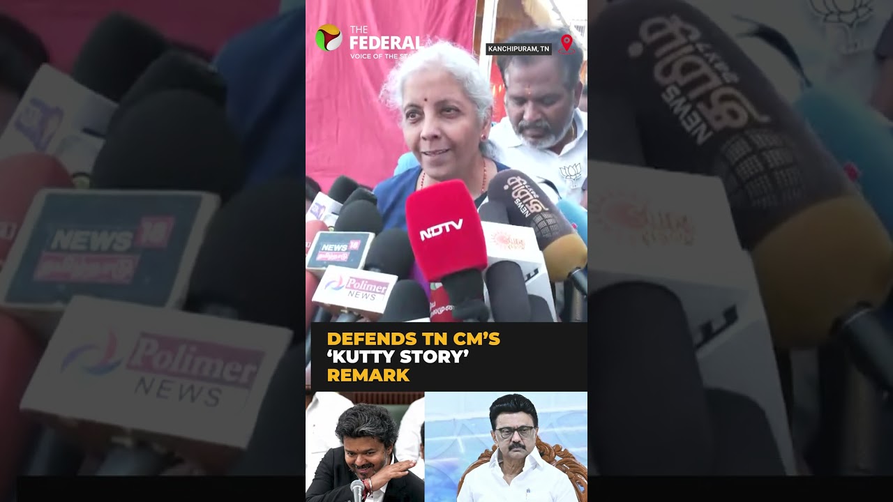 Nirmala Sitharaman backs CM Vijay&rsquo;s Assembly &lsquo;kutty story&rsquo; | #shorts