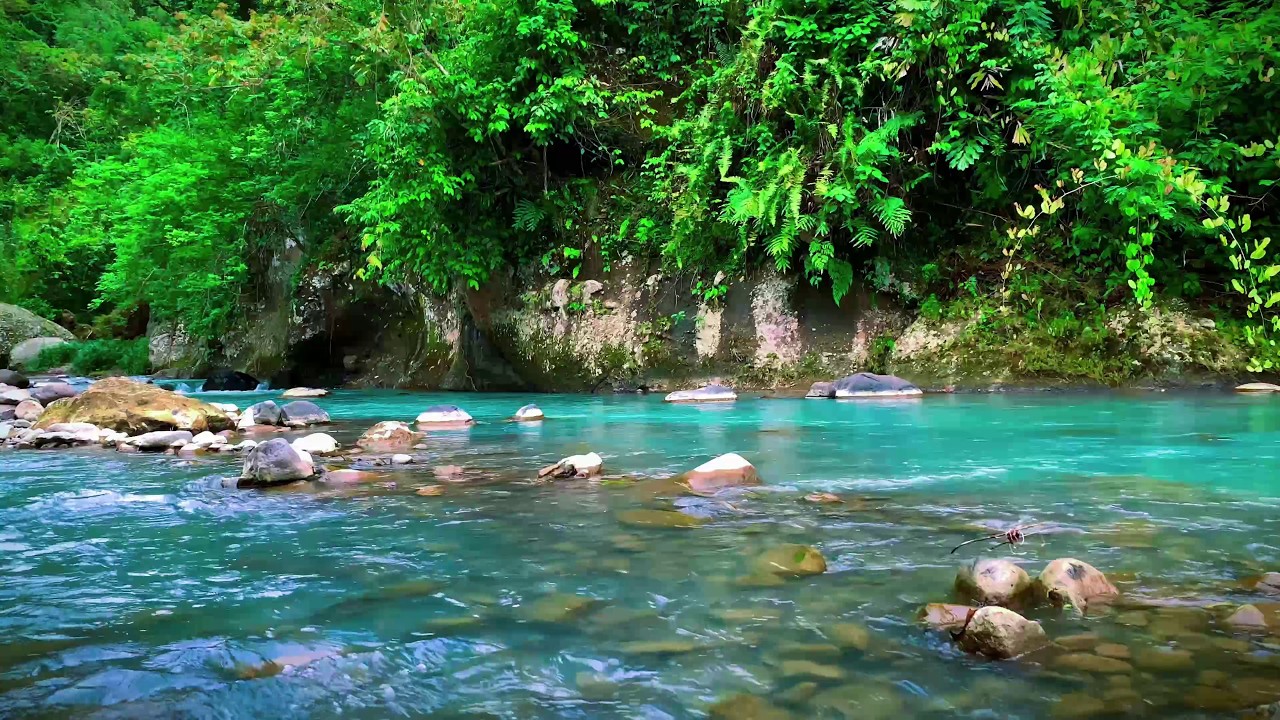Peaceful Flowing River Sounds | Deep Relaxation & Stress Relief