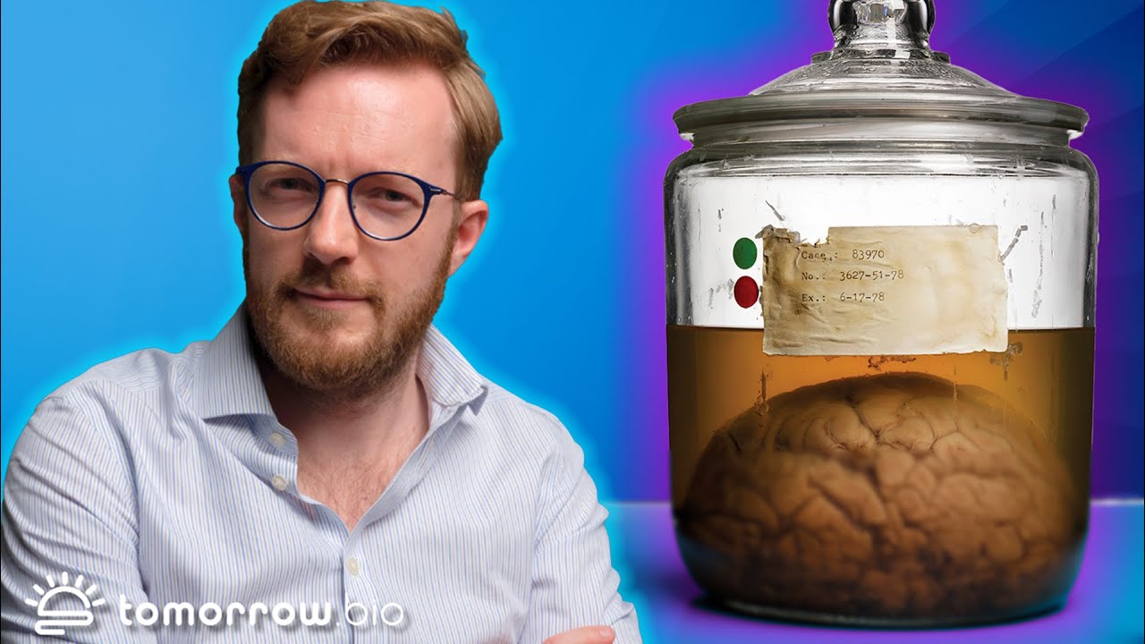 What Happens To The Brain In Cryopreservation? | Science Behind Cryonics