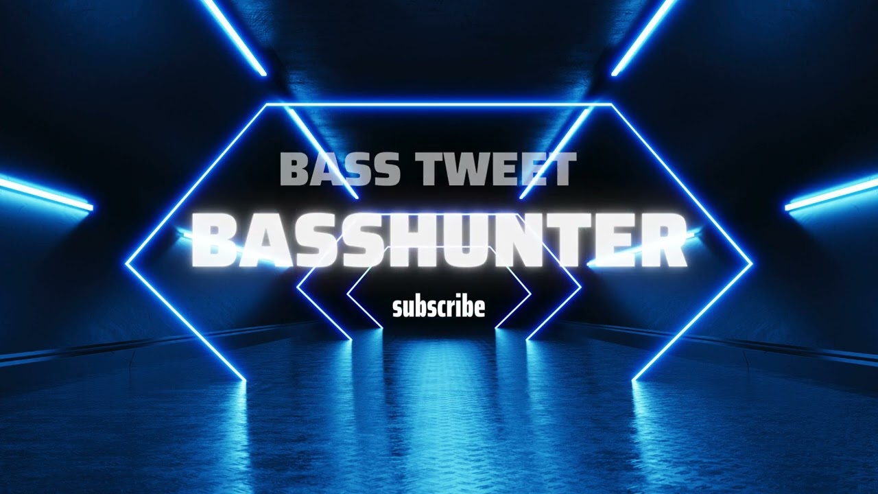 Basshunter-Tweet (New Song 2024)