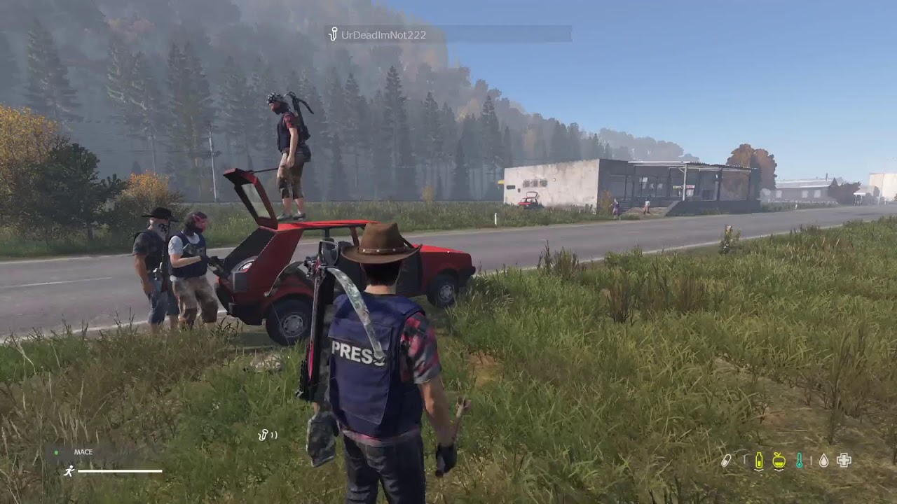 Day z shenanigans