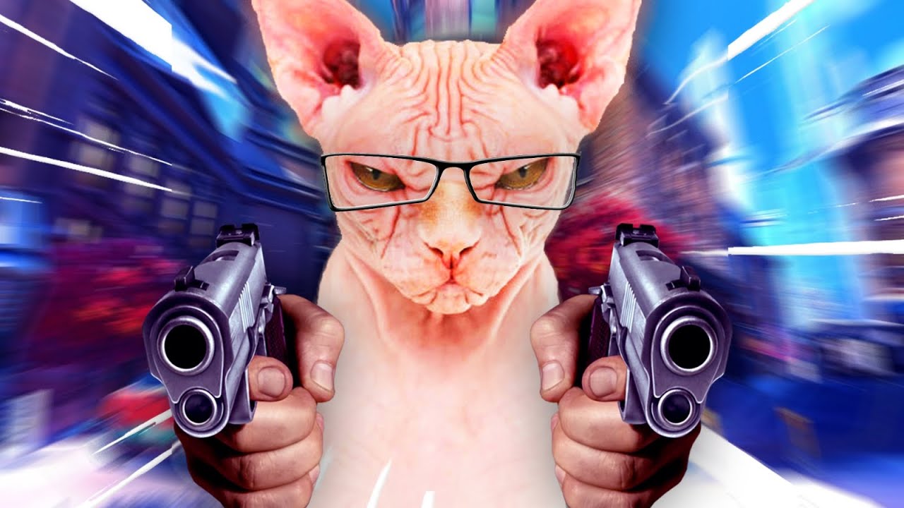Losing My Mind Over A Bald Cat