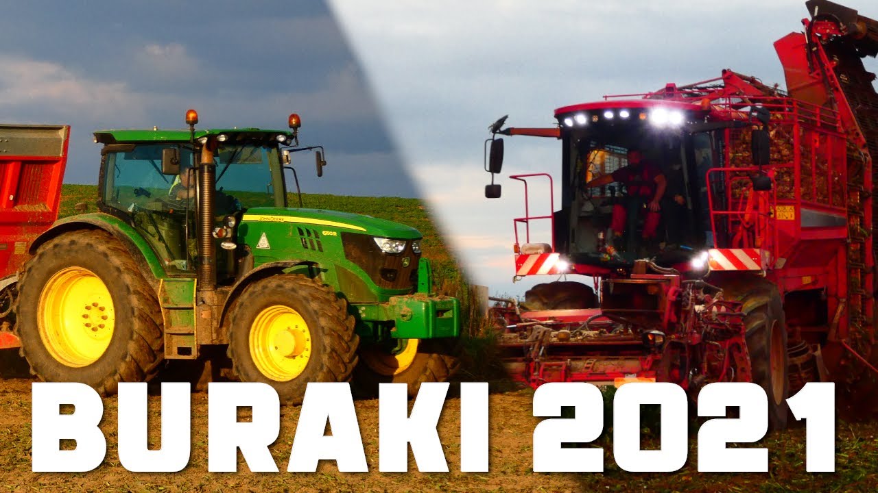 Oporowa kampania buraczana 2021 - Holmer Terra Dos T4-40 & John Deere 6150R