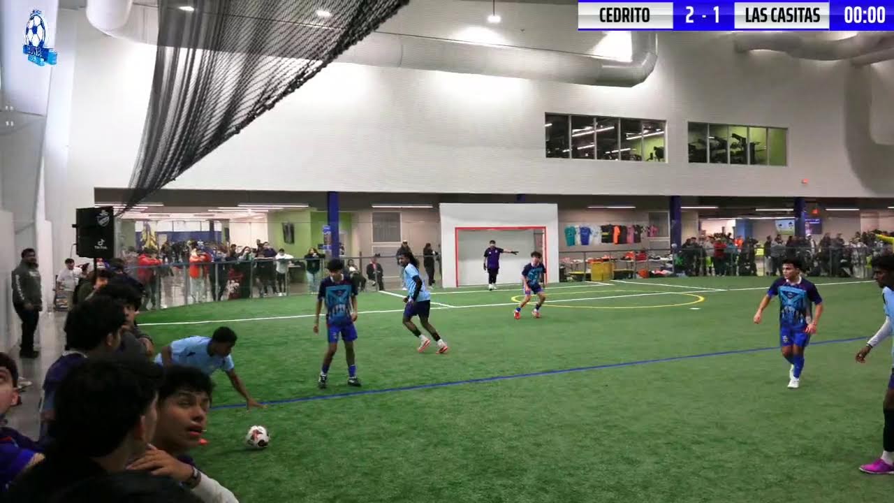 UNION CUP