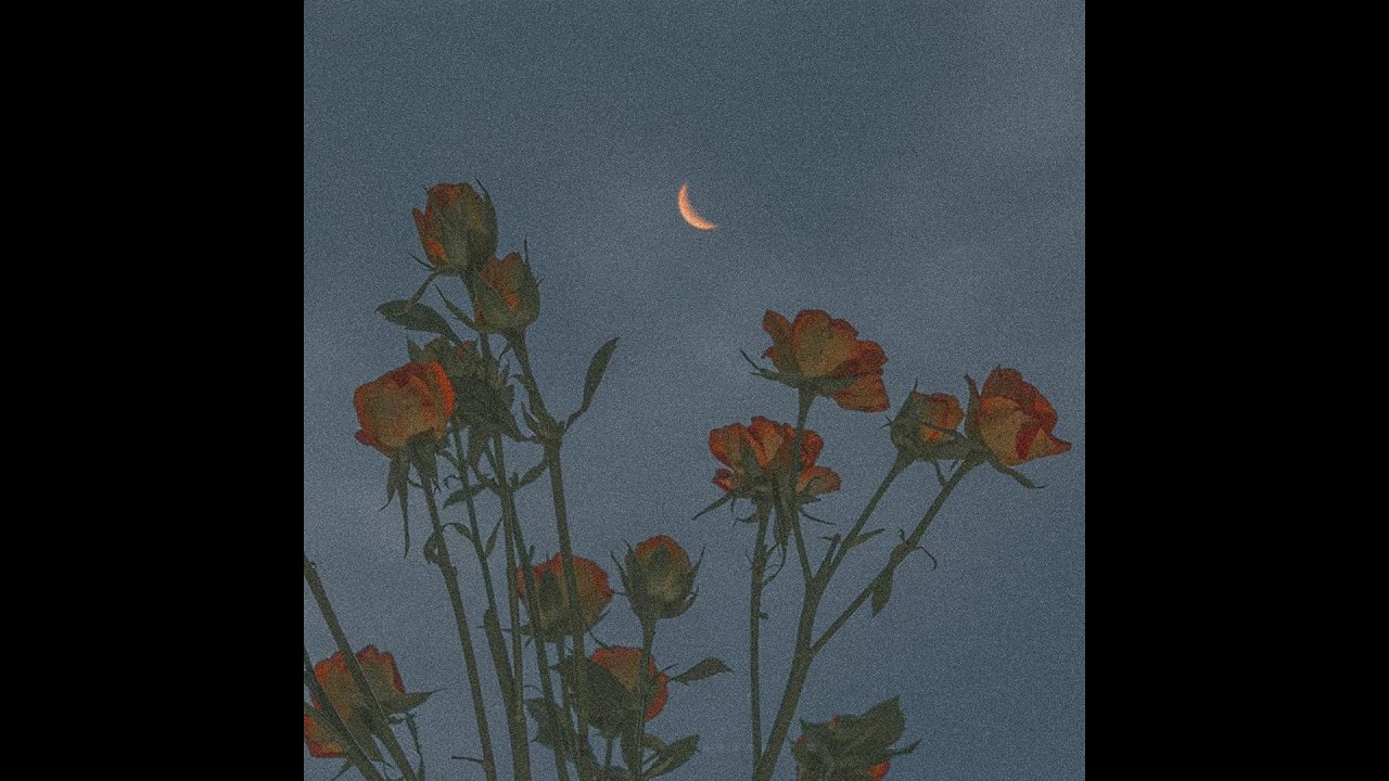 [FREE] Indie x Bedroom Pop x Dream Pop Type Beat - 
