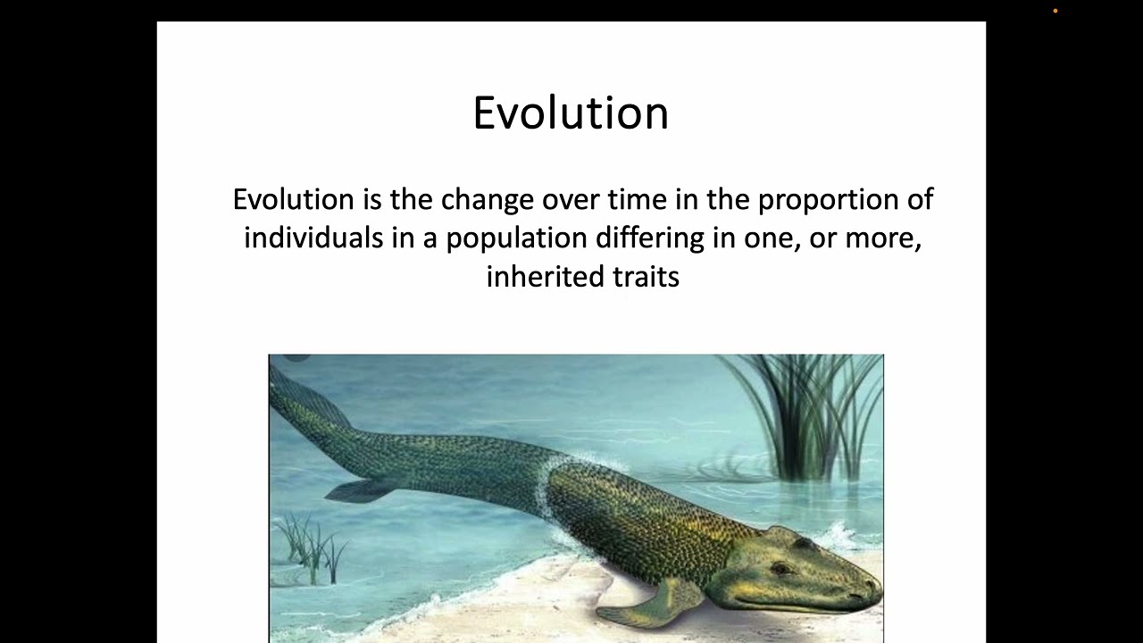 AH Biology 2.2 - Evolution