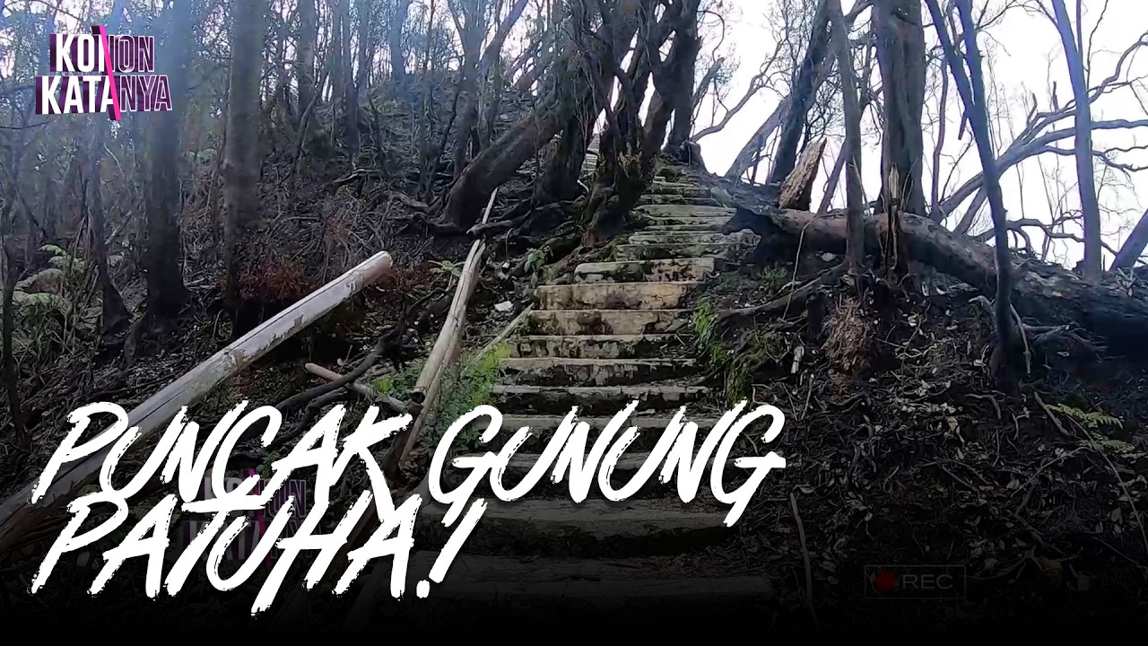 Eksplorasi Pundak Gunung Patuha | Konon Katanya