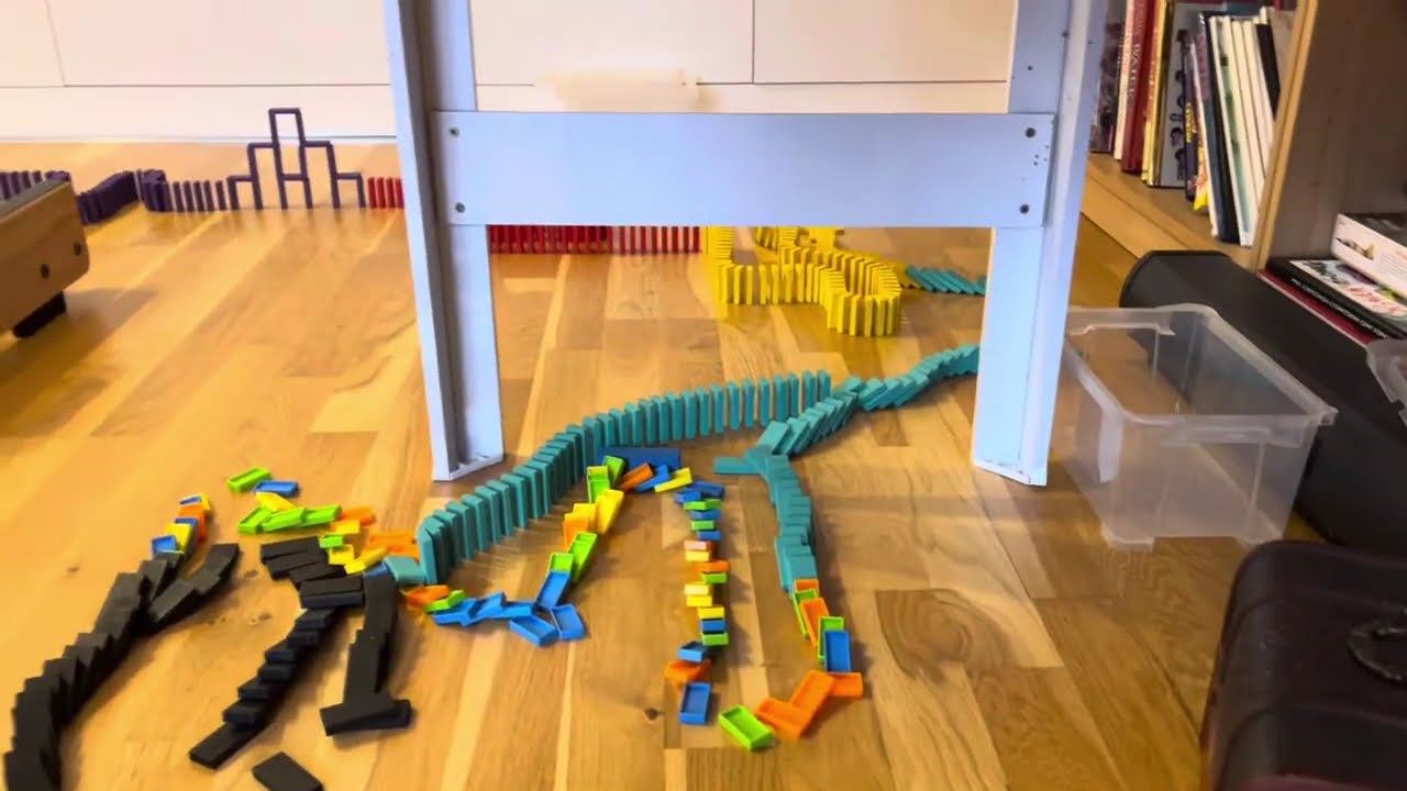 My First Domino Video