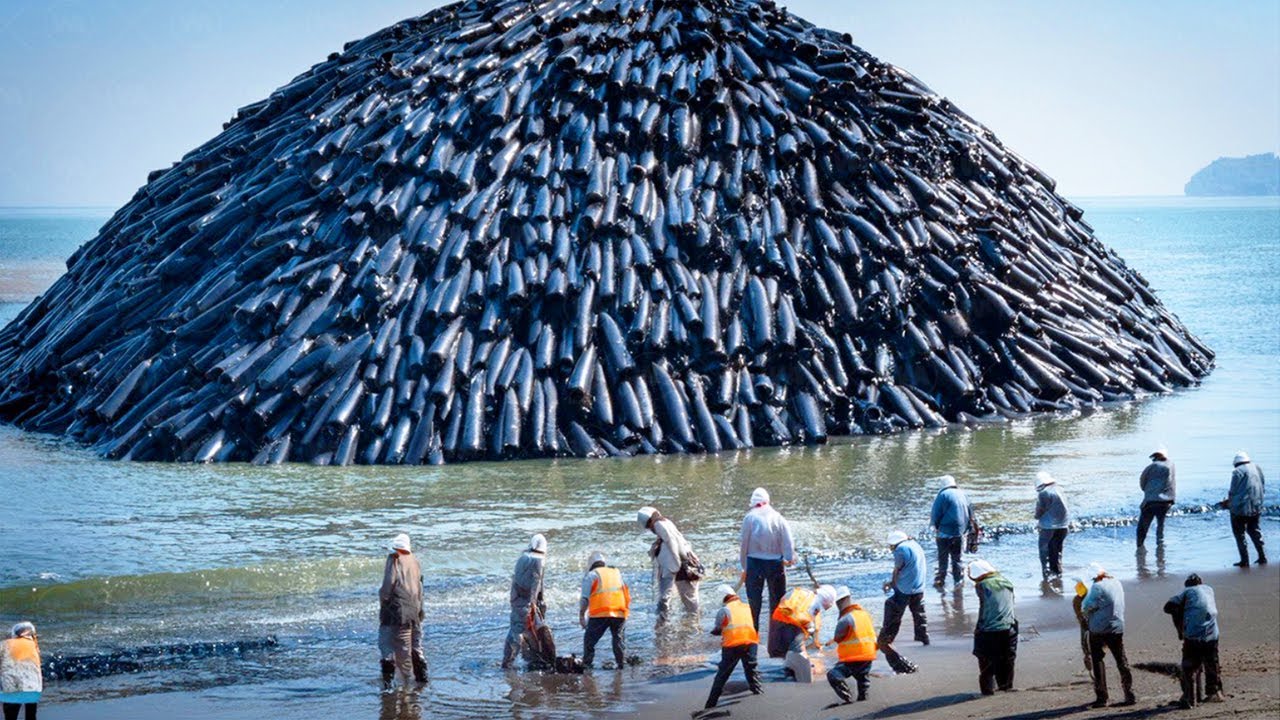 Les Japonais Ont Commencé À Couler Des Tonnes De Béton Au Milieu De L'océan, Et Voilà Pourquoi
