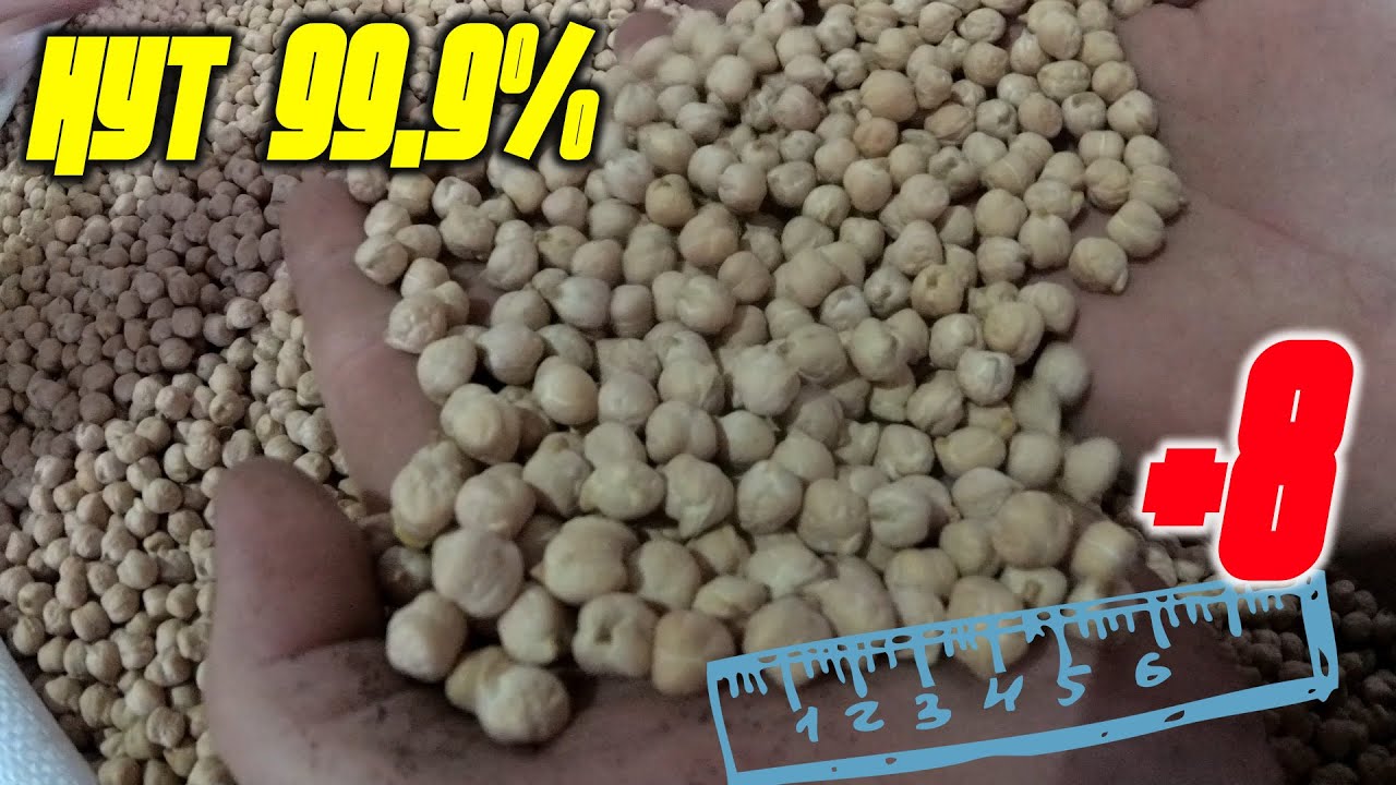 НУТ на 99,9%