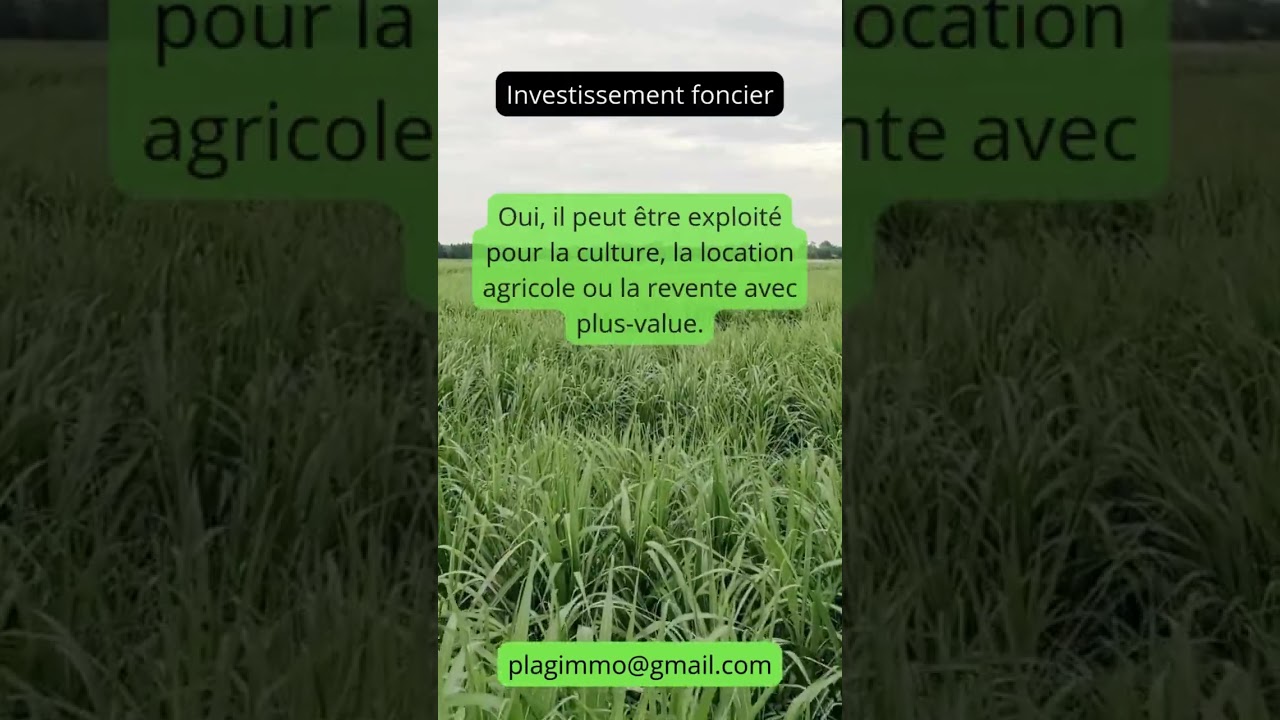 🎥 268/360 &ndash; Le foncier agricole en Guyane est-il un bon investissement ? #foncieragricole #investir