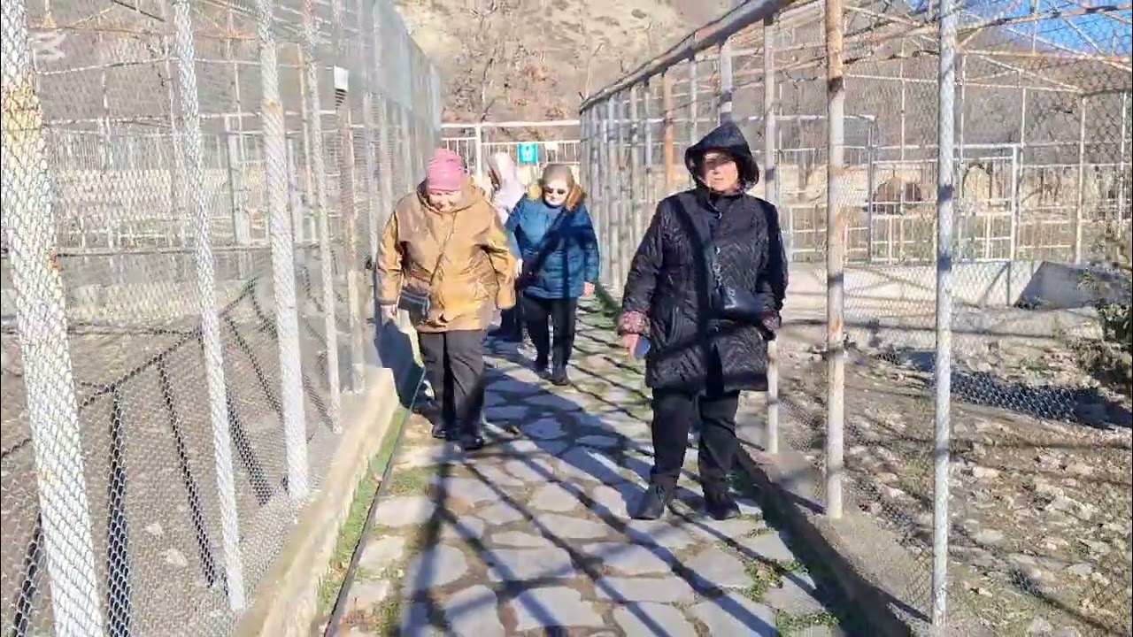 Xizi. Altiagac qəs. Cənnət bagi istirahət mərkəzi.  (Altiaqac. Zona otdixa  Ray sada. )