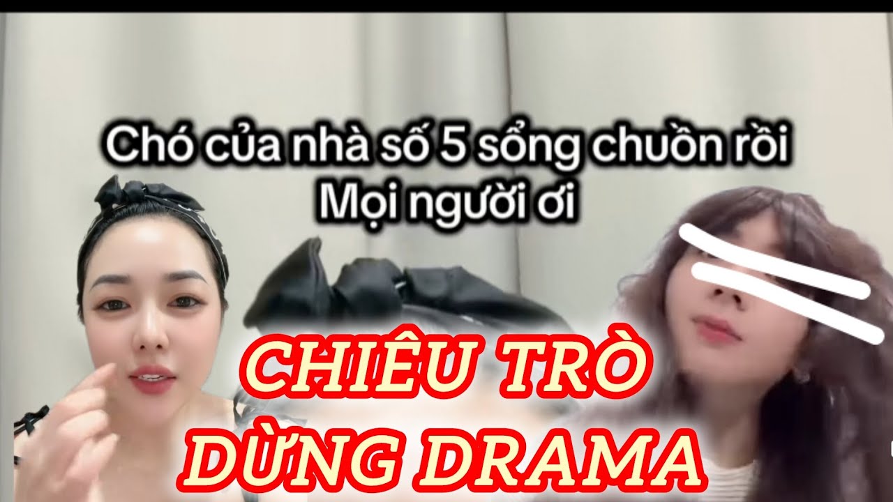 Chiêu trò dừng Drama của Trí Cảnh 