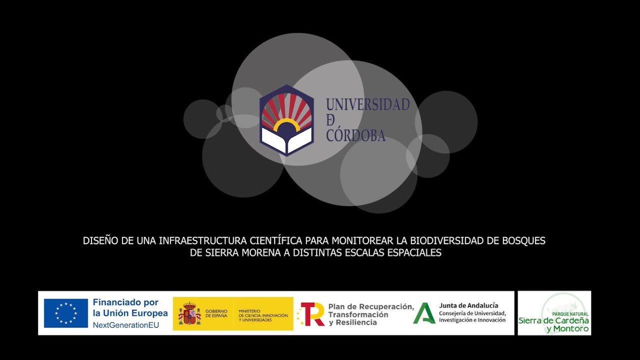 Infraestructura científica para monitorizar la biodiversidad forestal en Sierra Morena