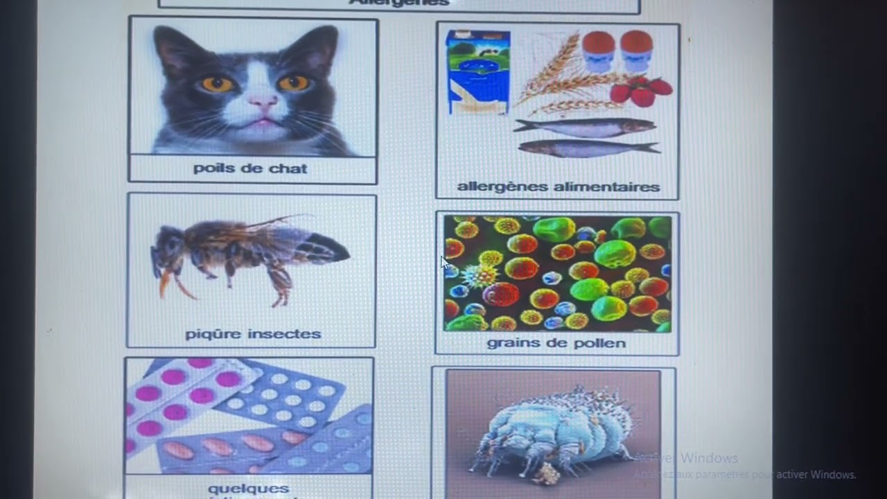 @svt.bdarija.1M  3AC- Dysfonctionnements du système immunitaire اضطرابات جهاز المناعة
