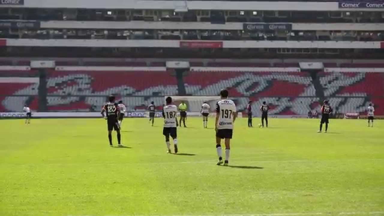 ¿Qué se busca en un jugador Sub-15?