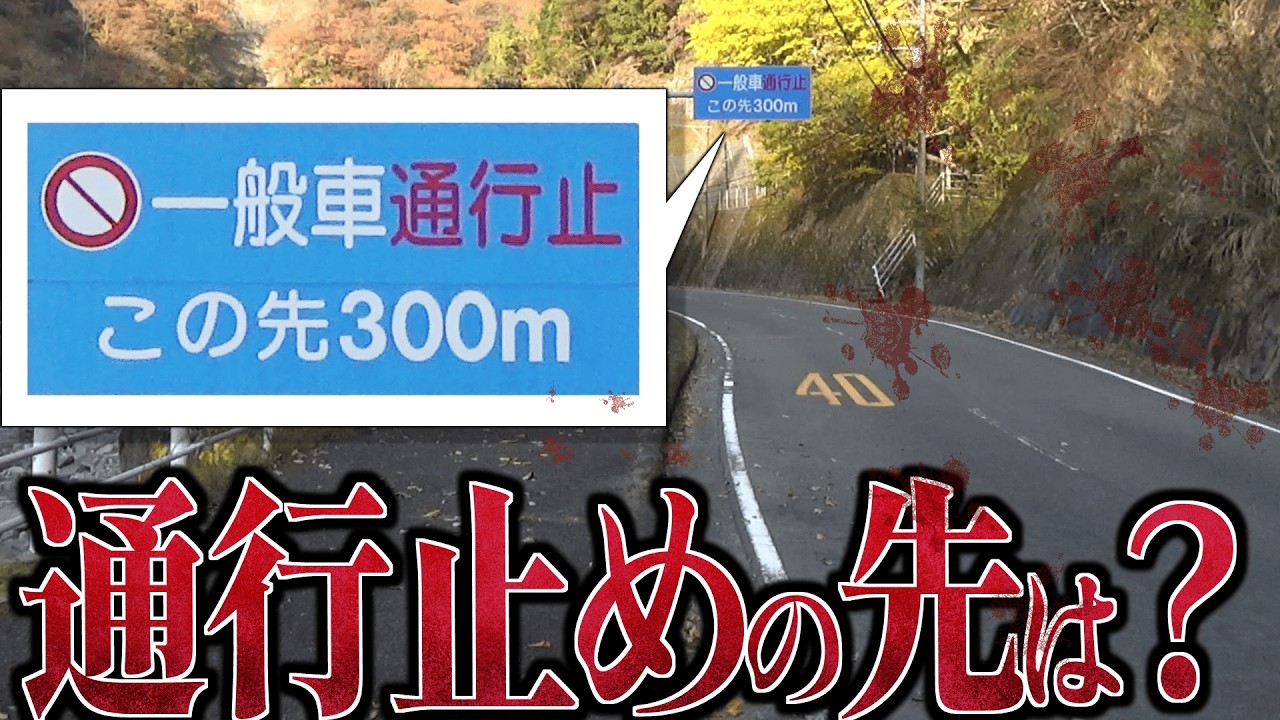 【神奈川】途中で消えてしまうもう一つの県道の謎