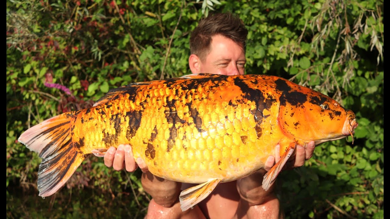 Le Grand Etang Summer 2023 part 2,