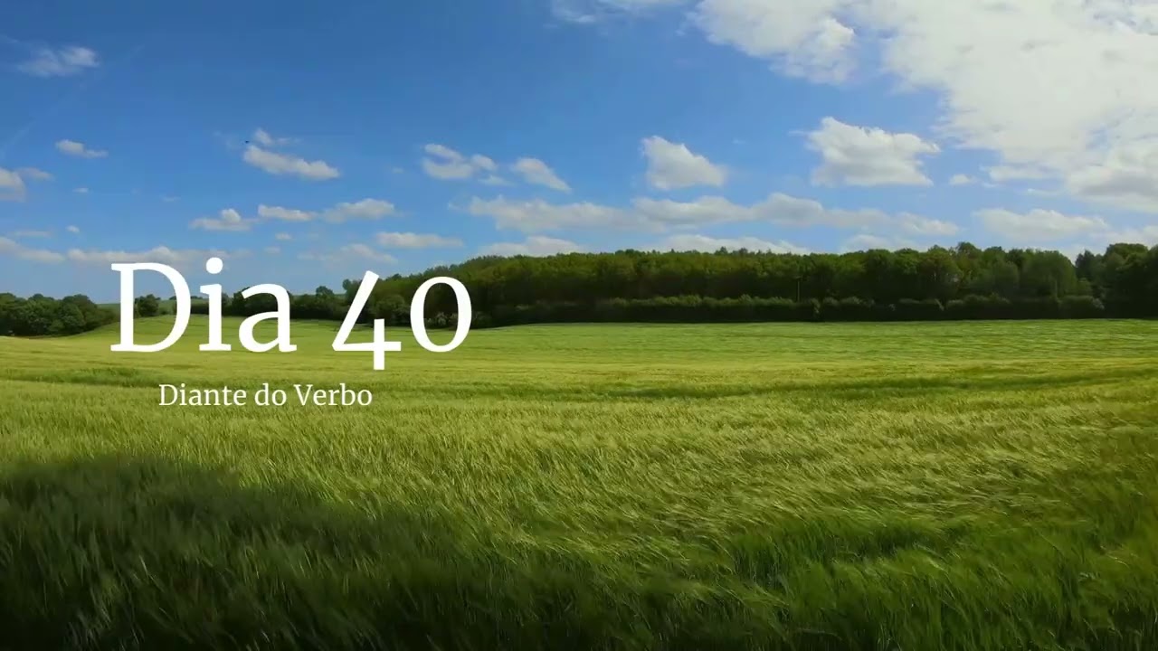 Leitura anual da Bíblia - Dia 40