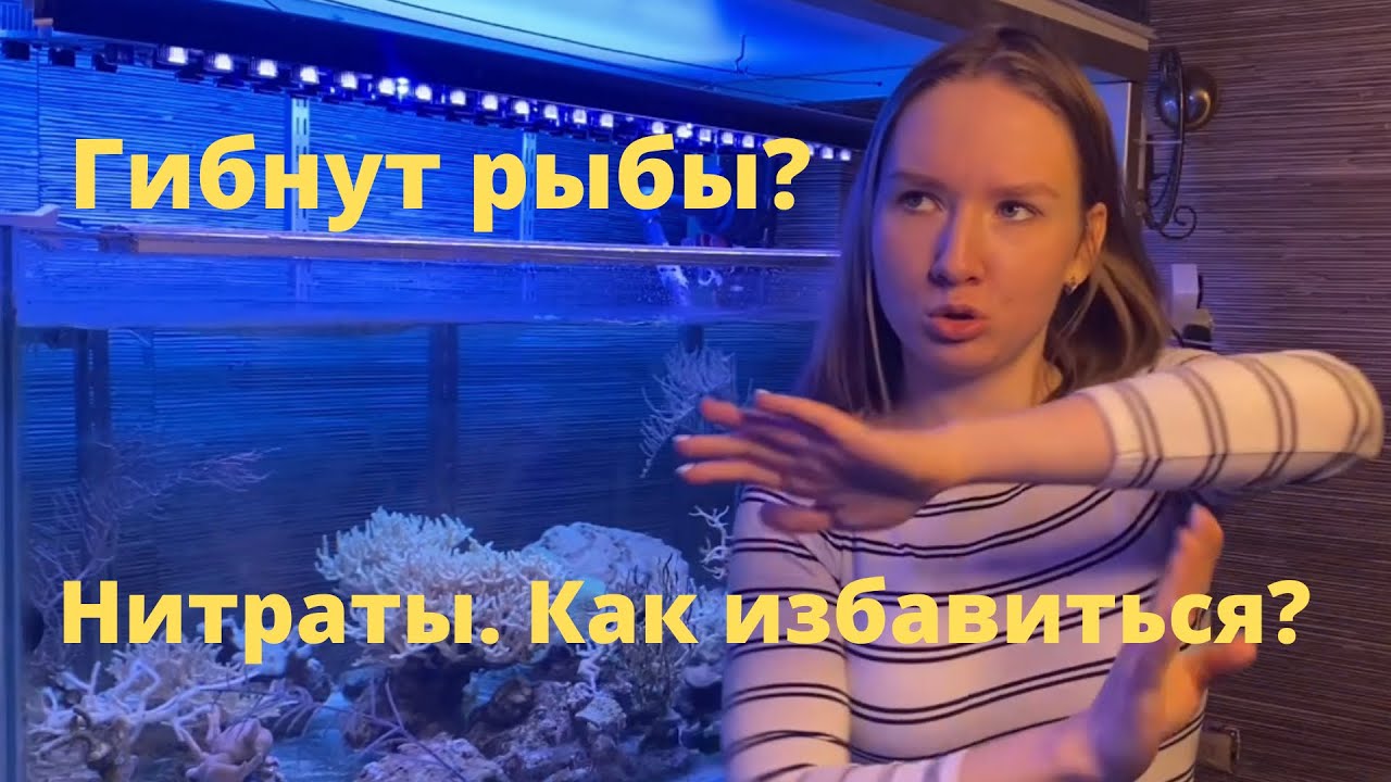 Нитраты. Основная причина массовых вымираний рыб.