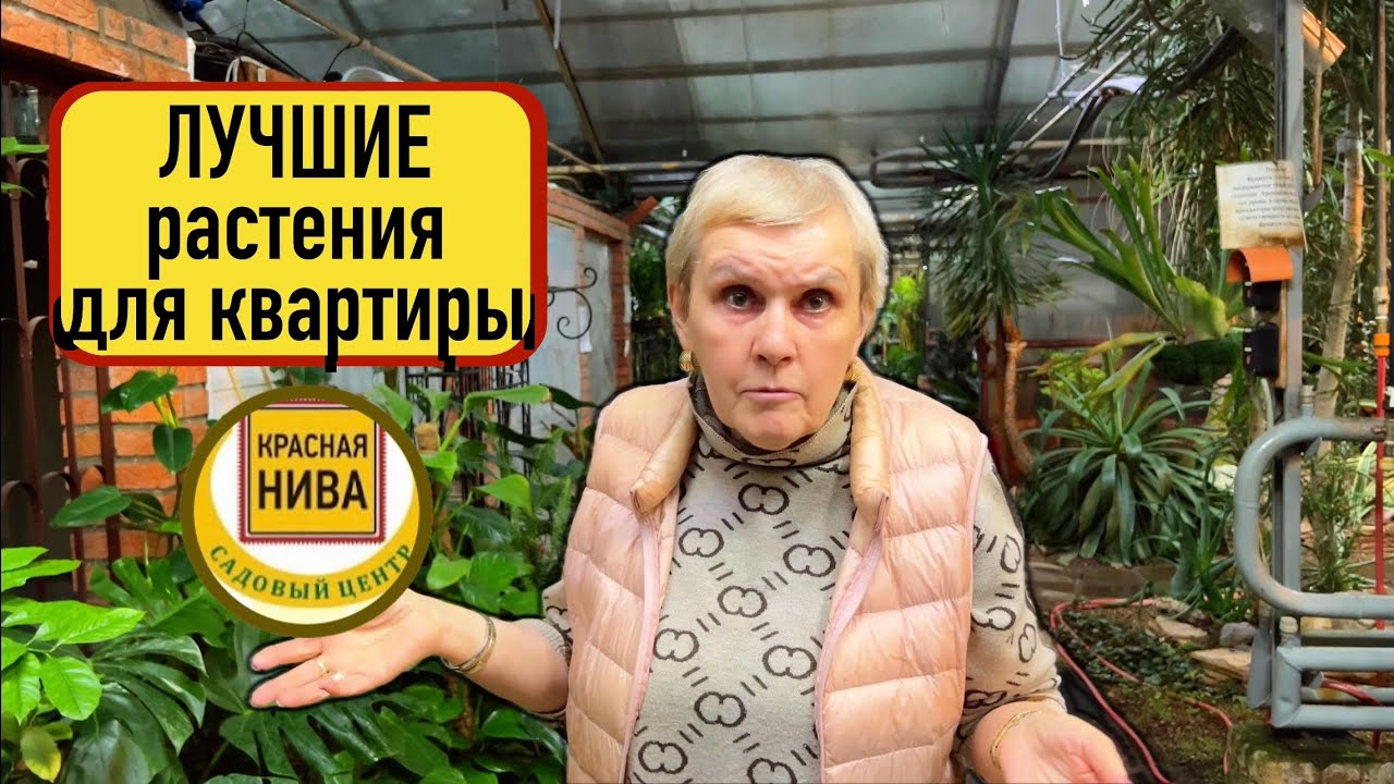 Чем проще - тем лучше! | Эльмира Тофиковна советует!