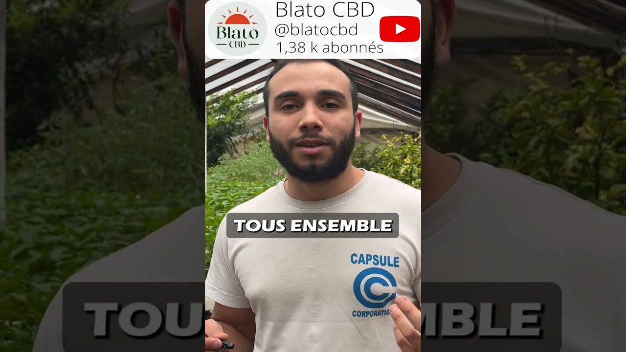 Semer du CBD ! #chanvre #cbdc #cbdfrance #cbdshops #permaculture #agriculture #jardinage #jardin