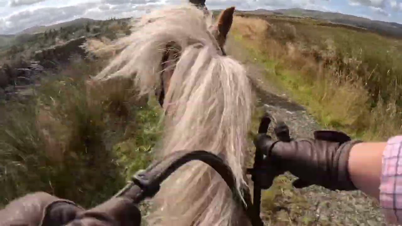 Riding of the Marches - Hacking - Gallops