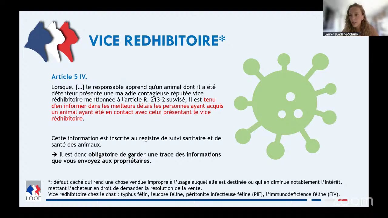 SoLOOF sur l'Arrêté du 19 juin 2025