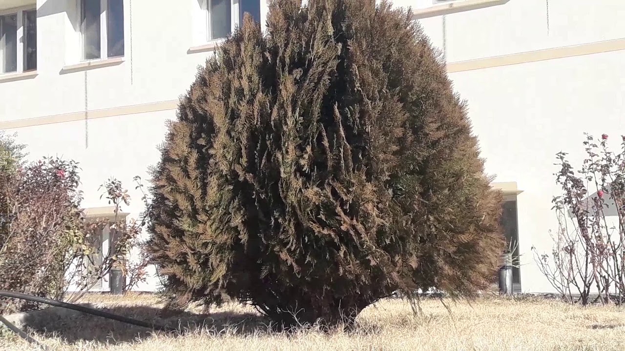 visit AKHSS Seenlasht//the power house of knowledge//enjoy video