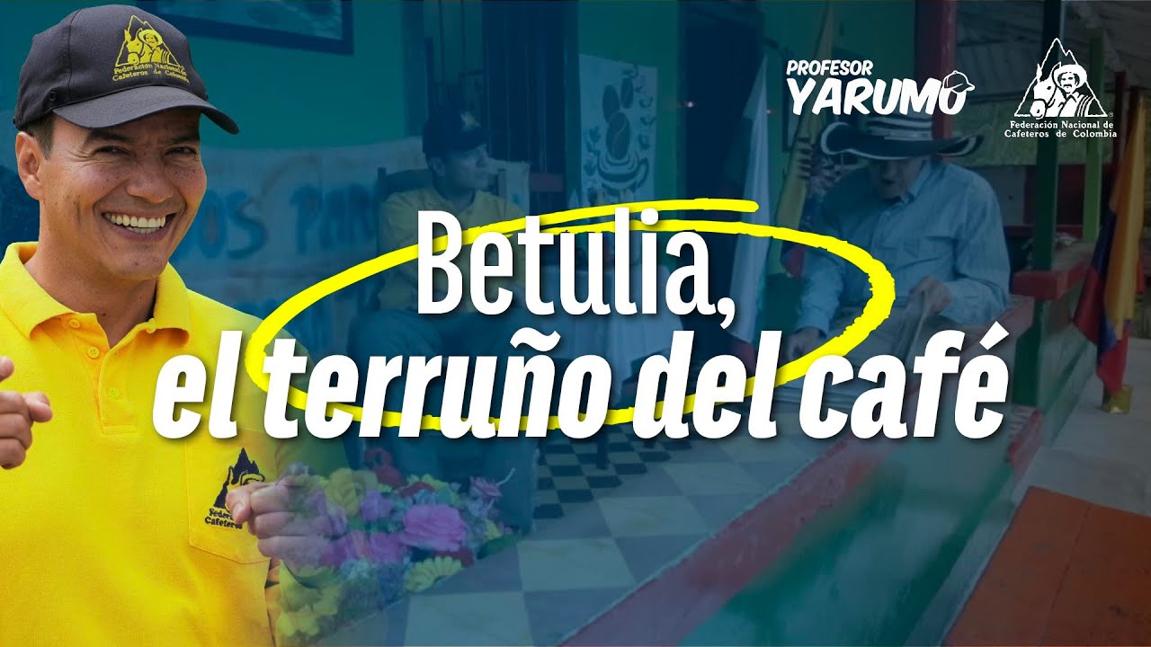 LAS AVENTURAS DEL PROFESOR YARUMO: BETULIA EL TERRUÑO DEL CAFE