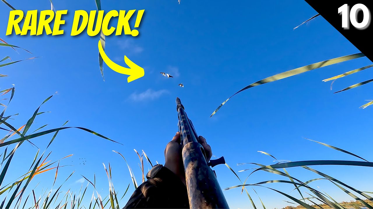 DUCKS, CRANES, & GEESE Over Water | Duck Hunting 2022